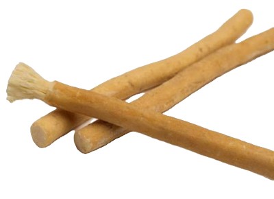 درخت مسواک طبیعی